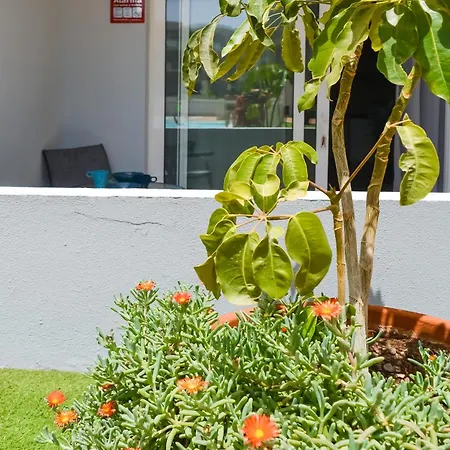 Paradise Palms I Deluxe, Incl. Welcome Package *